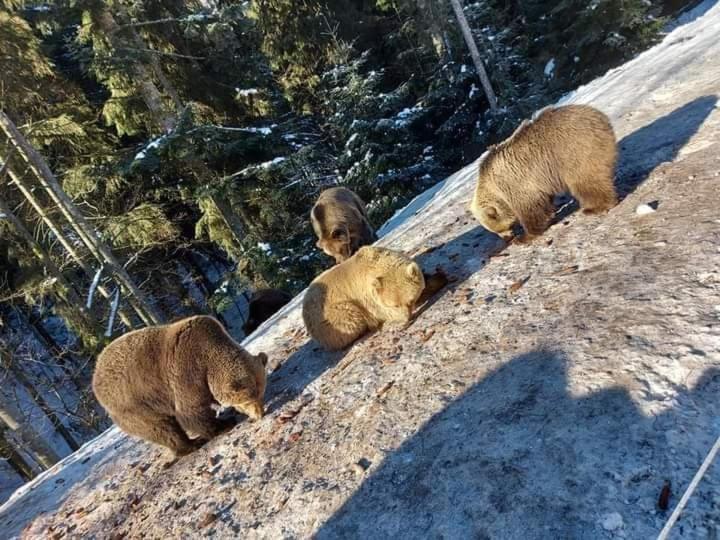 Готель Людмила シネヴィル エクステリア 写真